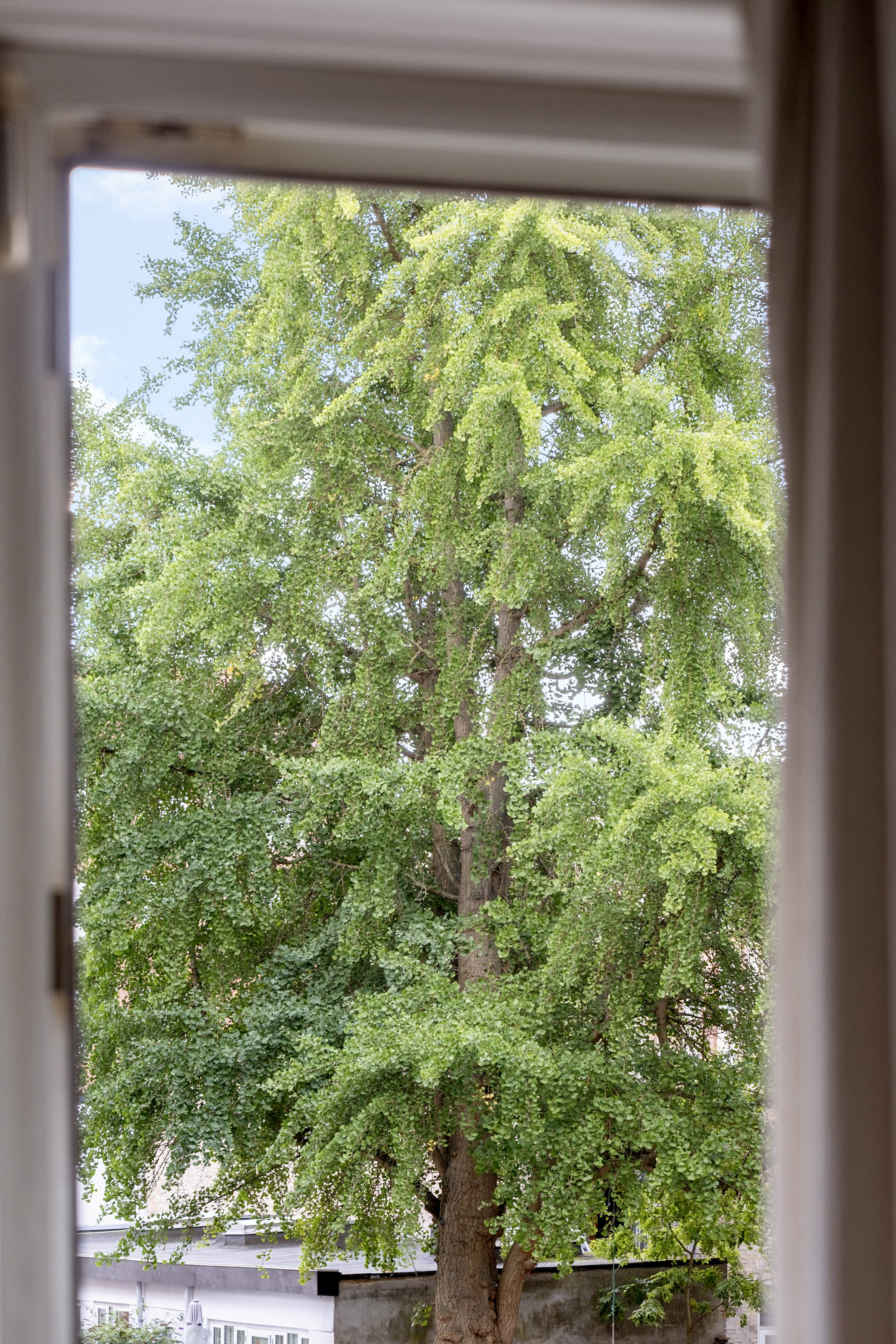 Område