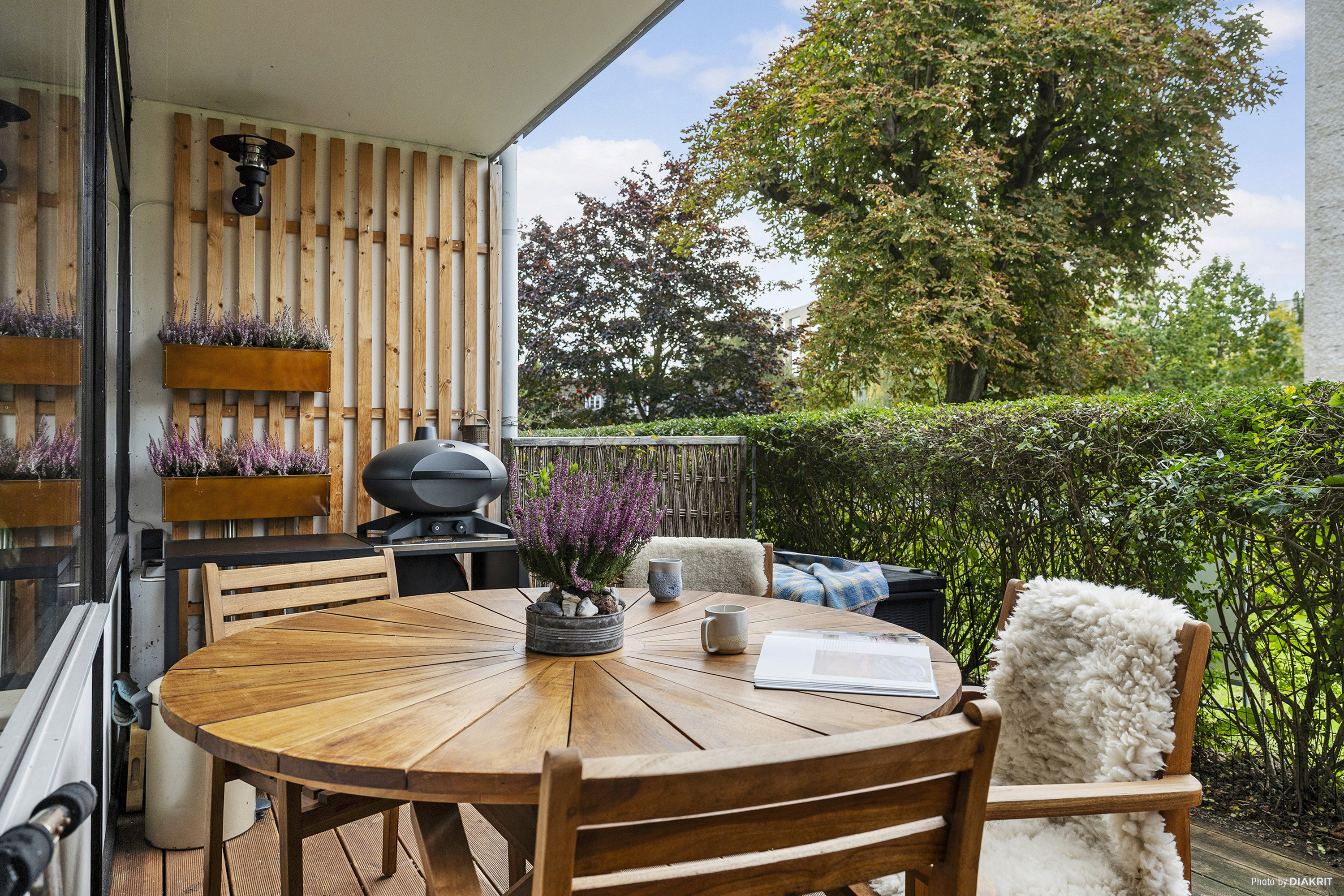 Område