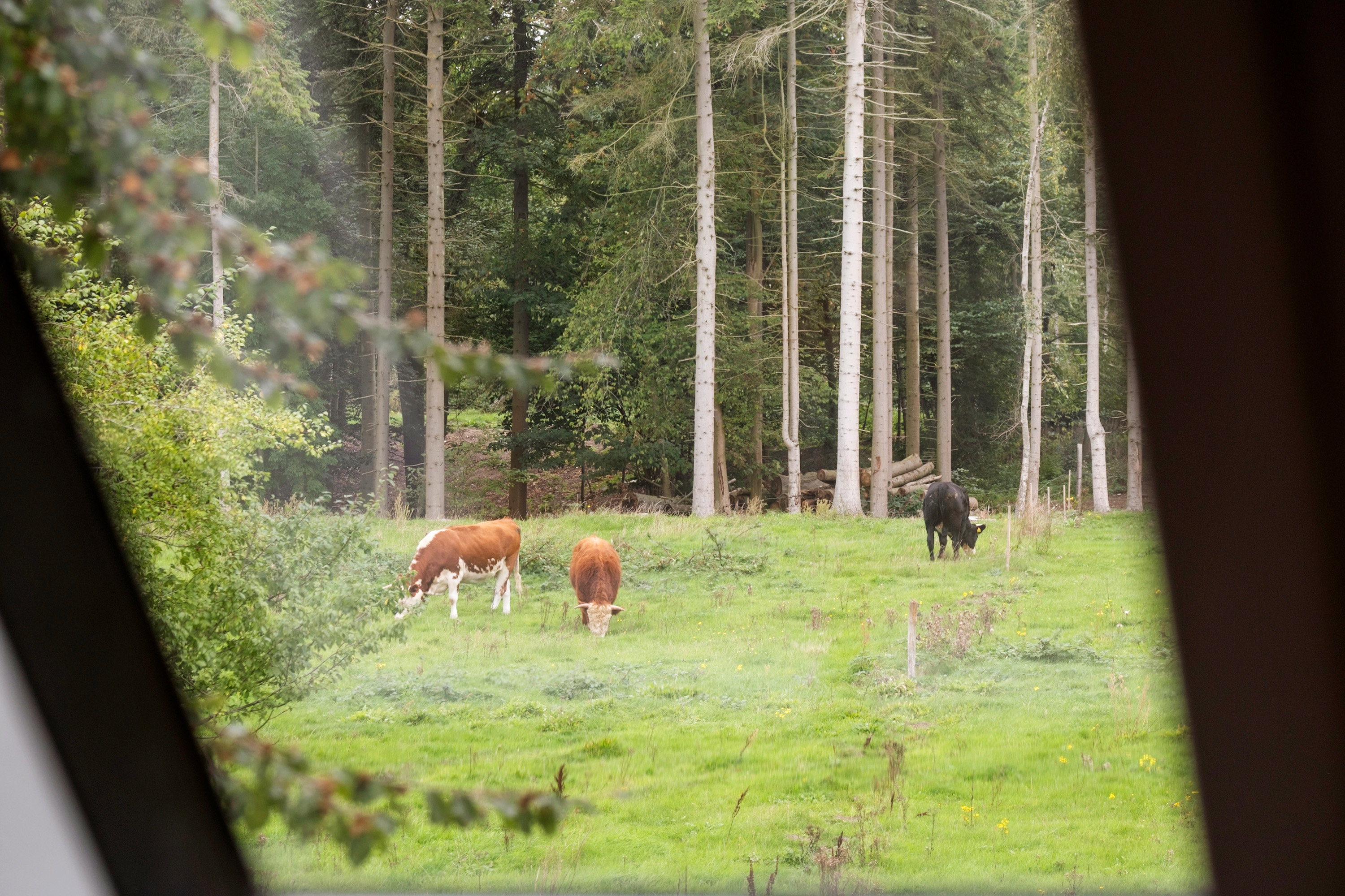 Torslundevej 15, 2635 Ishøj - Billed