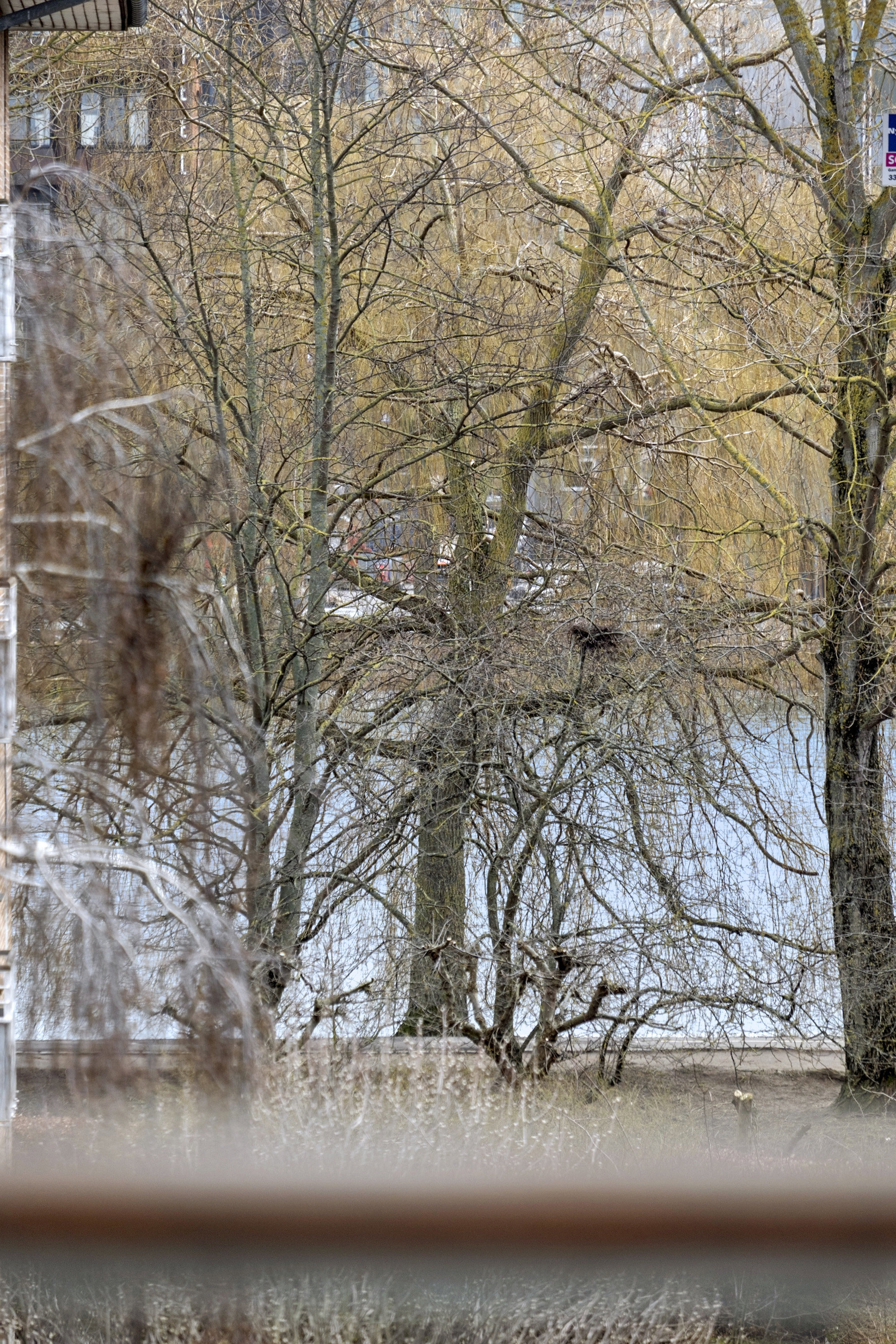 Vodroffsvej 20, 2., 1900 Frederiksberg C - Billed